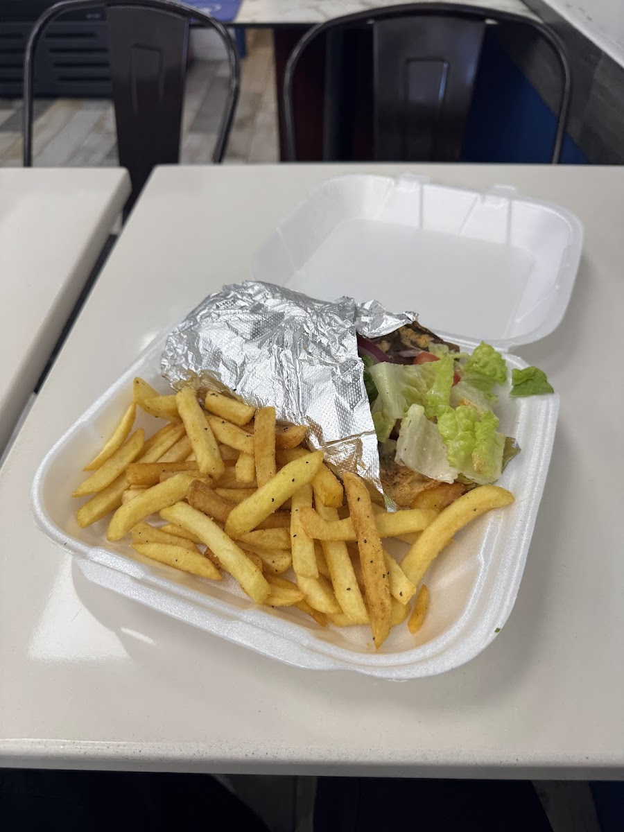 Gyro and fries